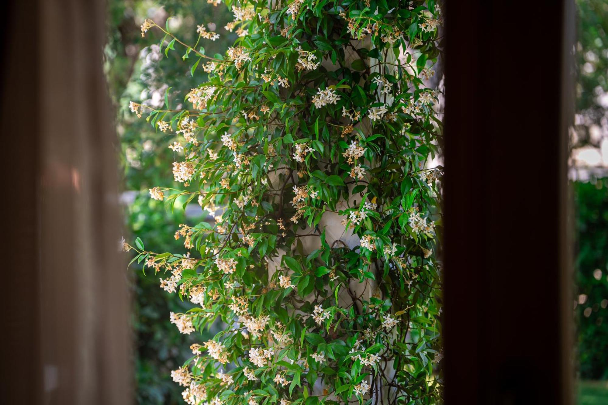 Villa Helena โกตอร์ ภายนอก รูปภาพ